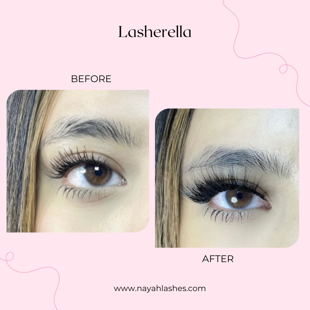 Lasherella