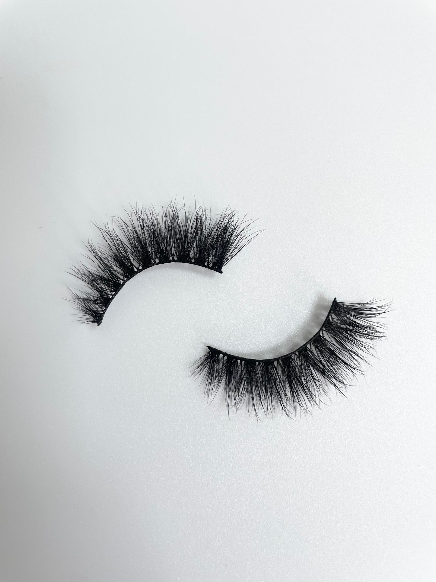 Lasherella